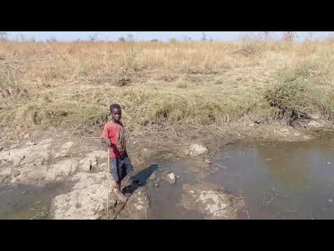 Orphan Education Support - Zambian Villages