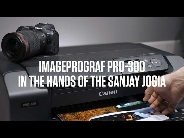Cartouche d'encre Canon PFI-300C pour IPF Pro 300 : Jaune