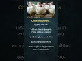 Profitable Chicken Farming Business Billionaire Business Ideas Business Strategy Business