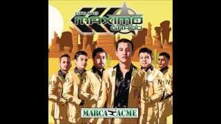 el gallo maximo grado 2015