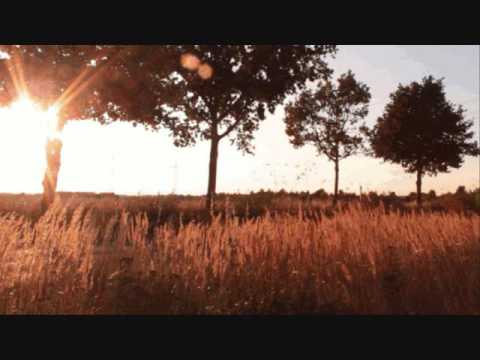 Chilled Boom Bap Rap Beat x 90s Sampled Hip Hop Instrumental