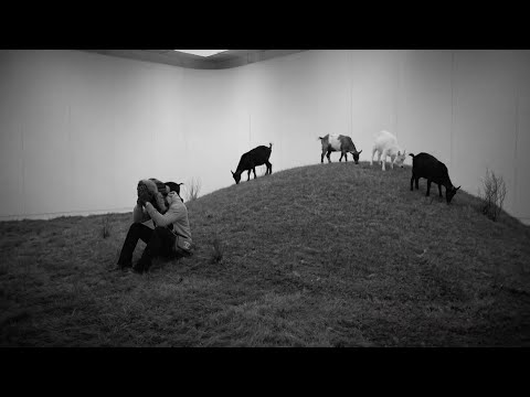 thaHomey - ma life (Clip Officiel)