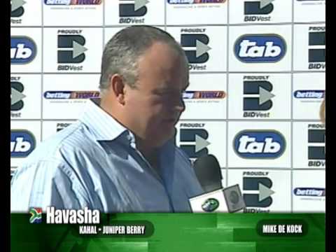 HAVASHA : 2009 Emperors Palace Cup Contender