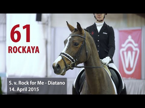 61 Rockaya Stute v. Rock for me - Diatano
