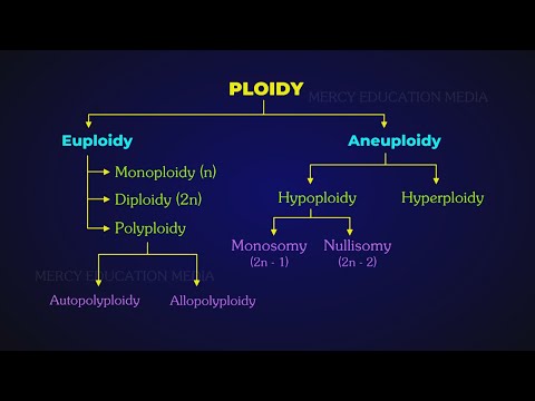 NUMERICAL CHROMOSOMAL ABERRATIONS | PLOIDY