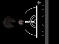 Why Bats Crash Into Glass Windows: Echolocation Challenges