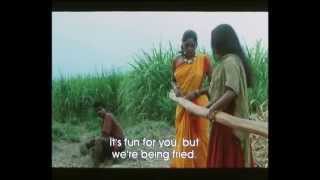 Sammohanam  The Enchantment 1994 : Sugar Cane Scen