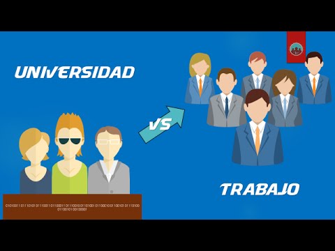 Universidad vs Trabajo | Experiencia personal