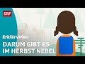 So Entsteht Nebel Einfach Erklärt Kindervideos SRF Kids