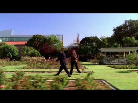 I could be a duck Bones Pilot episode