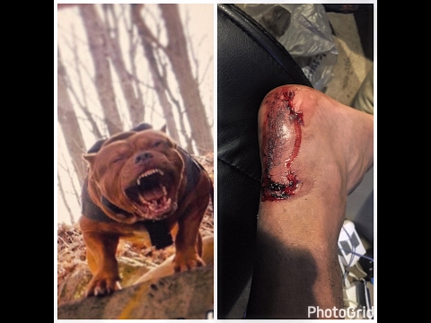 Смотреть онлайн видео THE HULK LIFE: Careful what you wish for a bite