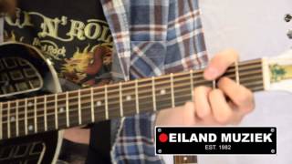 Video thumbnail for Regal RC51 Tricone by Eiland Muziek
