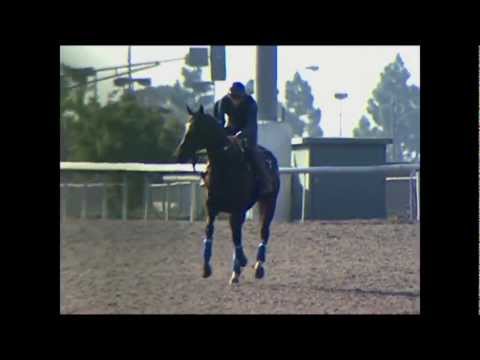 Eblouissante feature