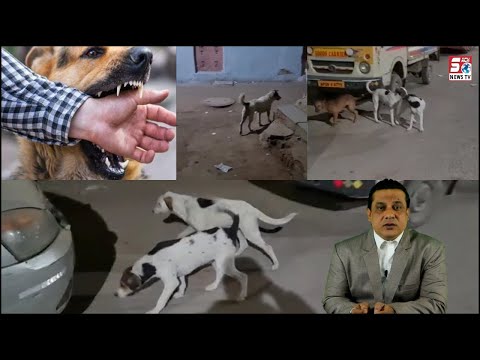 Junglee Kutto Ka Raaj | Awaam Apni Aur Apne Bachcho Ki Hifazat Kare | Hyderabad |@sachnews