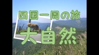 四国一周の旅　大自然の山道で出会った動物がすごい#1