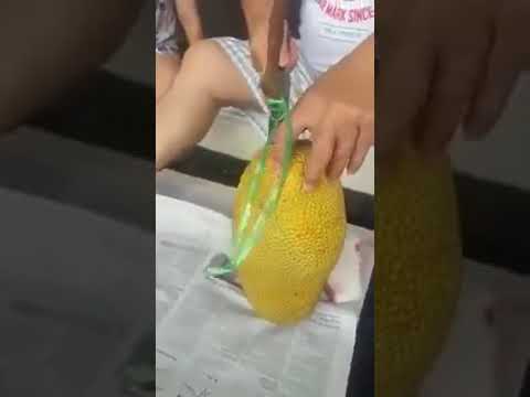 New  way to open jack fruit