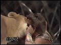 Wolfgang Holzmair Ringling Bros Barnum Bailey 1975