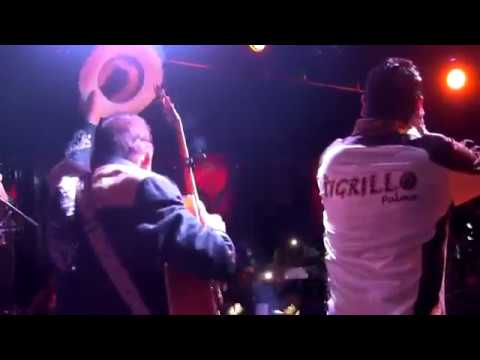 El Tigrillo Palma Ft. Don Triny | Paloma Azul | EN VIVO