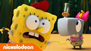 Download lagu Kamp Koral | Spongebob Penjaga Bayi  | Nickelodeon Bahasa mp3