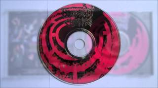 Malevolent Creation - The Coldest Survive