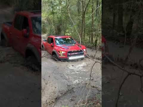 Ford Raptor Mudhole