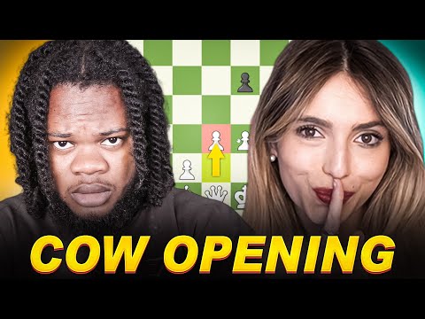 I played Anna Cramling's COW OPENING
