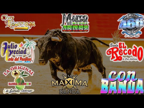 Los Mejores Sones Con Banda 2025 - Banda Jerez, Chuy Lizarraga, Banda El Recodo, Banda MS