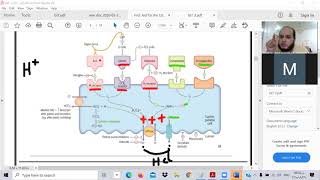 Gastrointestinal 3 (GIT3- TOXIC USMLE) Ibrahem Gamal شرح وحل معادلة امريكية-ابراهيم جمال