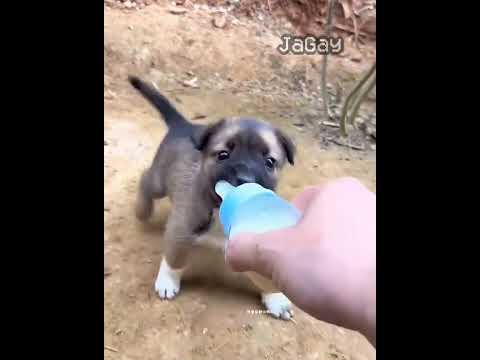 half life (0.0.7) (no effort) #halflife #halflife1