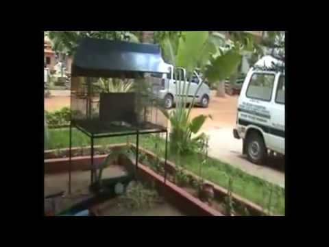 Children's Play Area & Other Accomadations