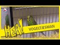 HEA! De vogeltjes van Wolter