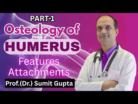 Osteology of Humerus Part-1 | Bony Landmarks, Muscle Attachments, Nerve Relations | MBBS 1st Year