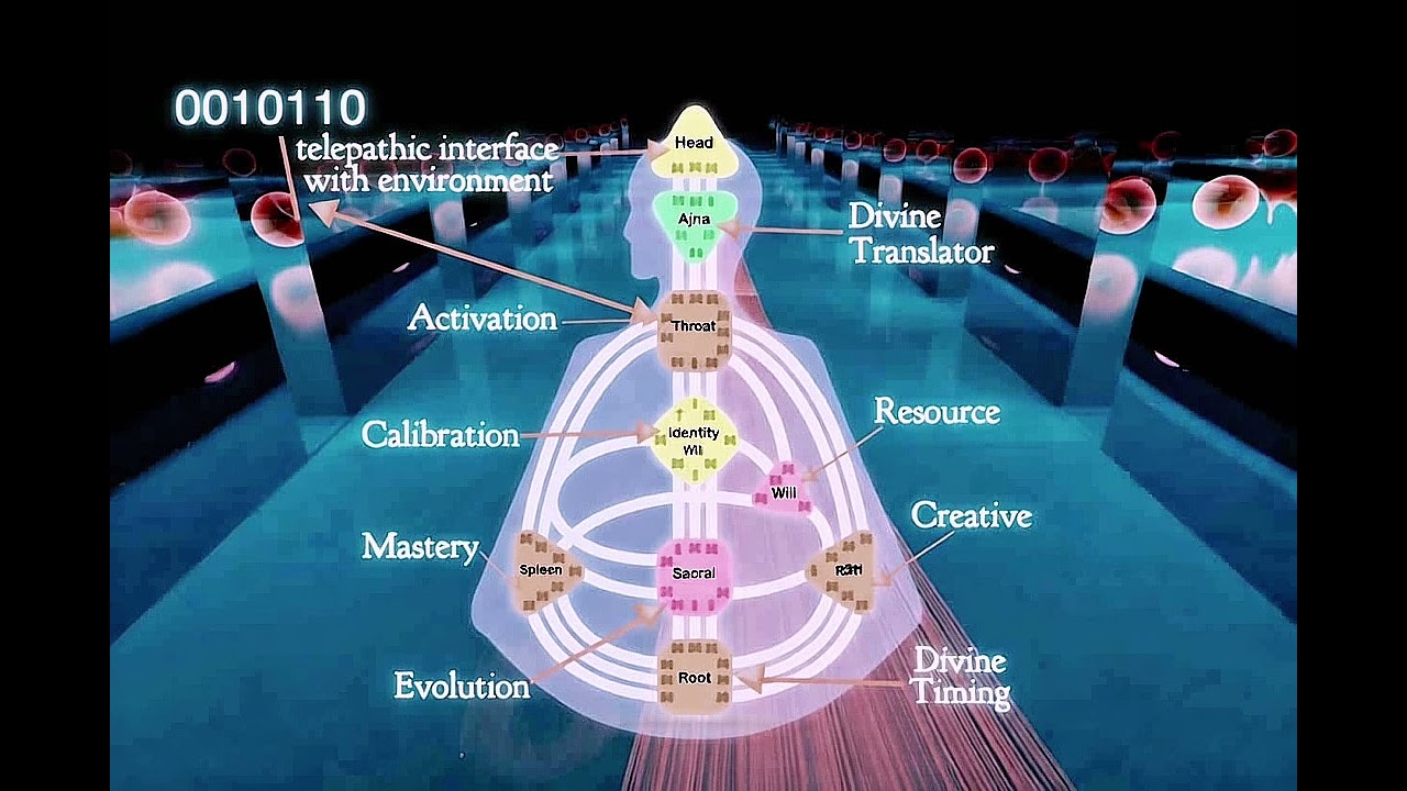 The 0010110 Telepathic New Internet:Quantum Physics Meets CollectiveConsciousness