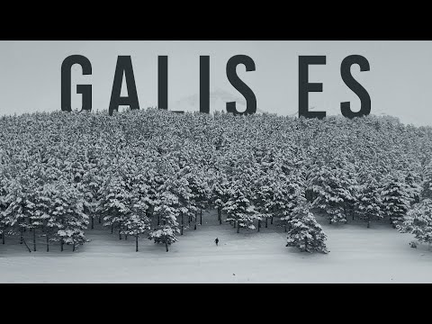 David Greg - Galis es (Official Video) 2024