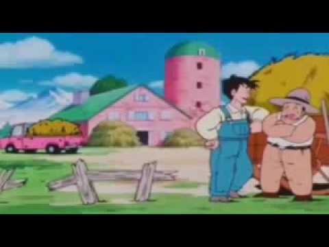 Dragon ball z y el martin fierro de tinelli