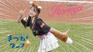 《プロ野球 チアリーダー》福岡ソフトバンクホークス　ハニーズ SHOKO　きつねダンス　　Honeys 2023  《BraveTV》