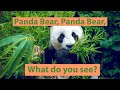 Panda Bear Panda Bear What Do You See Read Aloud