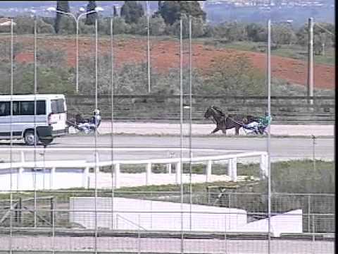 IPPODROMO DEI PINI - Prove di qualifica del 14 aprile