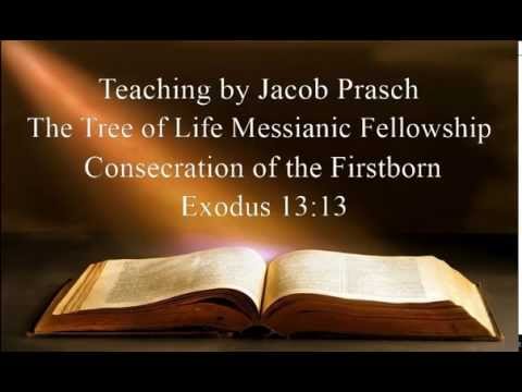 Jacob Prasch Tree of Life Messianic Fellowship Consecration of the Firstborn - Andrew R