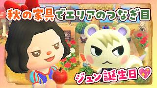【あつ森】ジュン誕生日🎂秋の家具でエリアのつなぎ目を島クリエイトするライブ 【あつまれどうぶつの森】