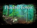 D&D Ambience - Peaceful Forest