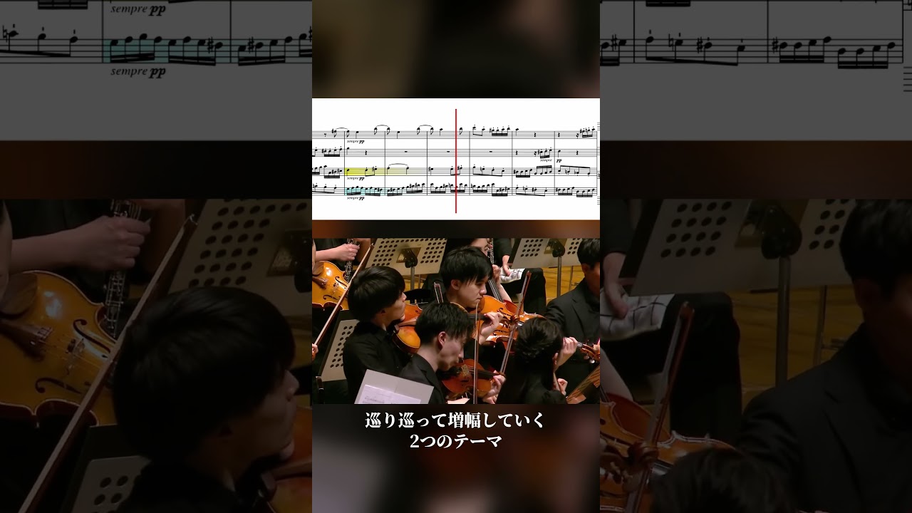 🌀 ベートーヴェン 交響曲第7番より 🔥