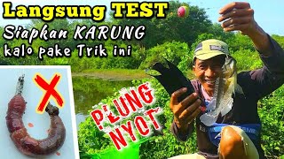 Download lagu Cara yang BENAR Pasang Umpan Cacing agar CEPAT STRIKE mp3