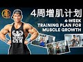 4周增肌计划 (IFBB Pro) 4-Week Training Plan for Muscle Growth | IFBB Pro Terrence Teo