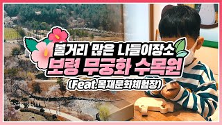 [#온택트숲여행] 볼거리 가득! 보령 무궁화 수목원(feat.목재문화체험장)