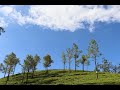 Seventh Heaven Valparai | Yaar Azhaippadhu |