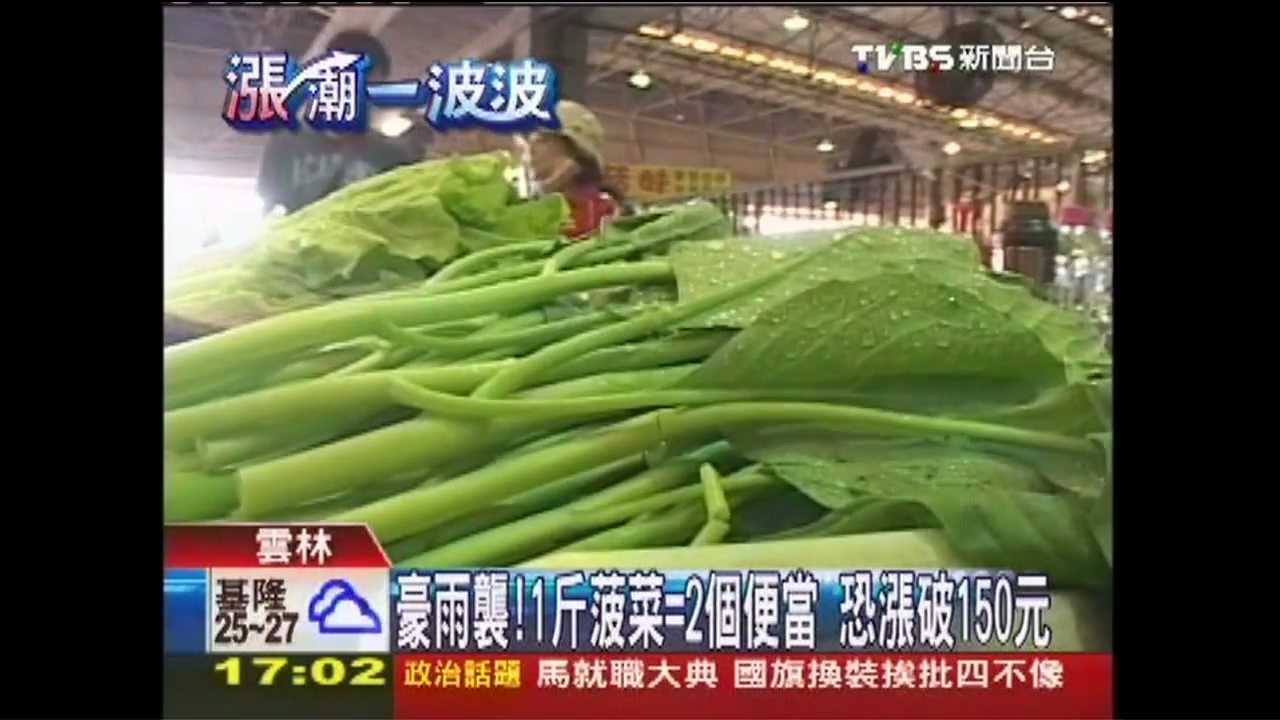 豪雨襲!1斤菠菜=2個便當 恐漲破150元