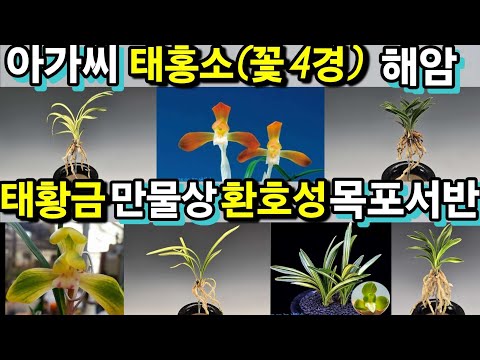유튜브 썸네일