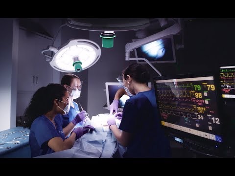 Columbia Medical School: A Legacy of Innovation | Vibepedia