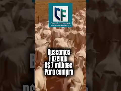 🚨 COMPRO FAZENDA ATÉ R$ 7M. GO/MS/MT. Raio de 400 km Chapadao do Sul